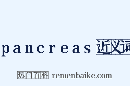 pancreas近义词是什么意思的图片